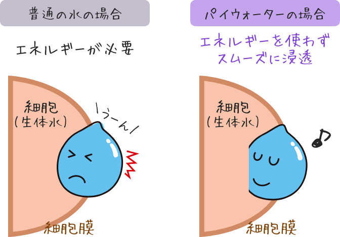 普通の水との違い